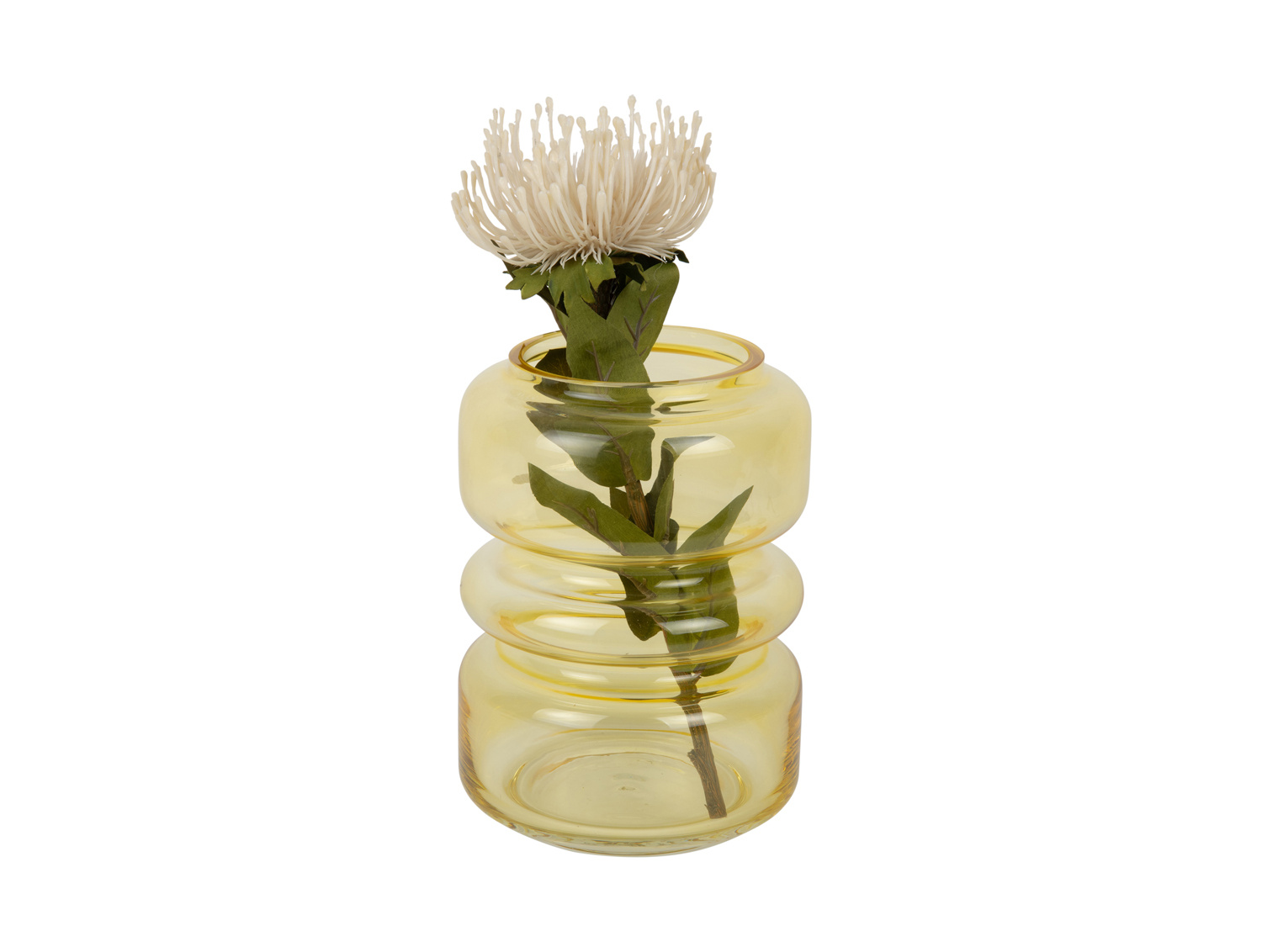 Present Time - Vaas Maravillo - Mango yellow