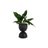 Present Time - Bloempot Tonar Medium - Zwart