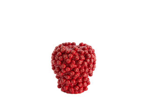 Light & Living - Vaas BERRIES - Ø25.5x27 cm - Rood