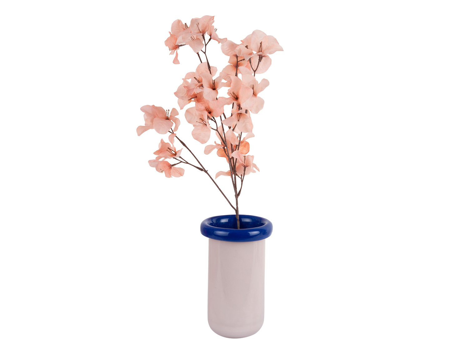 Present Time - Vaas Plegado XS - Soft pink & cobalt blue