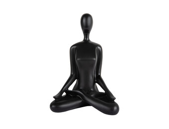 Present Time - Beeld Open Lotus - Zwart