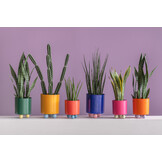 Present Time - Bloempot Double Funky Medium - Retro green & soft yellow