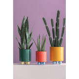 Present Time - Bloempot Double Funky Medium - Retro green & soft yellow