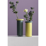 Present Time - Vaas Plegado S - Retro green & soft yellow