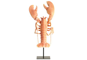 Light & Living - Ornament LOBSTER - 25x14x56.5 cm - Oranje