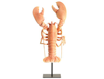 Light & Living - Ornament LOBSTER - 25x14x56.5 cm - Oranje