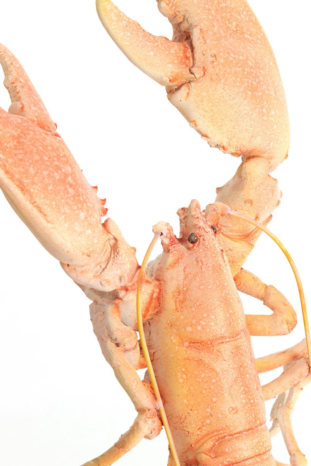 Light & Living - Ornament LOBSTER - 25x14x56.5 cm - Oranje