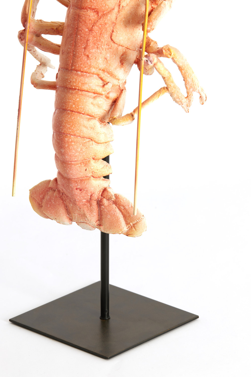 Light & Living - Ornament LOBSTER - 25x14x56.5 cm - Oranje