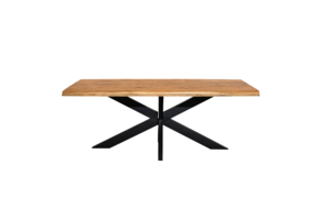 Starfurn - Boomstamtafel Denver - Bruin - 100x200x76 cm