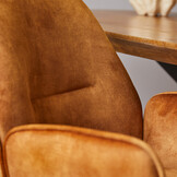 Starfurn - Eetkamerstoel Nova - Gold - Met armleuning - Set van 2