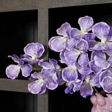 Starfurn - Vakkenkast Brussel Black - 90 cm