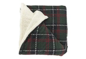 Unique Living - Plaid Eloise - 130x160cm - Groen