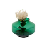 Present Time - Vaas Pasmoso - Groen