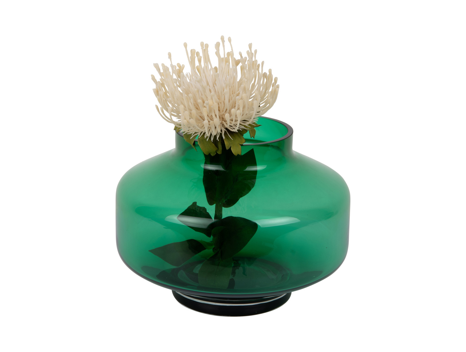 Present Time - Vaas Pasmoso - Groen