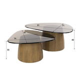 Hoyz Collection - Salontafel Tinto Driehoekig Set Van 2 - Brons Glas