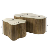 Hoyz Collection - Salontafel Nuovo Shamrock Set Van 2 - Massief Mango Zand