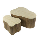 Hoyz Collection - Salontafel Nuovo Shamrock Set Van 2 - Massief Mango Zand