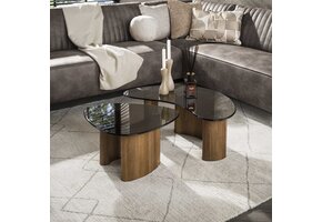 Hoyz Collection - Salontafel Tinto Organisch Set Van 2 - Brons Glas