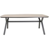 Lesli Living - Tuintafel Odense - Grijs - 200x100cm