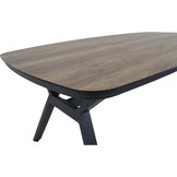 Lesli Living - Tuintafel Odense - Grijs - 200x100cm