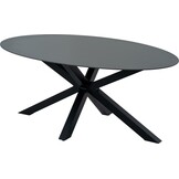Lesli Living - Tuintafel Crest - Zwart - 180x100x73cm