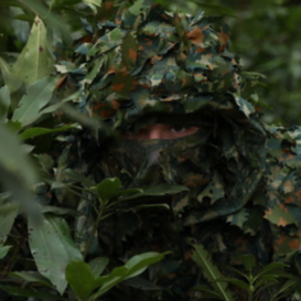 KMCS Balaclava Green