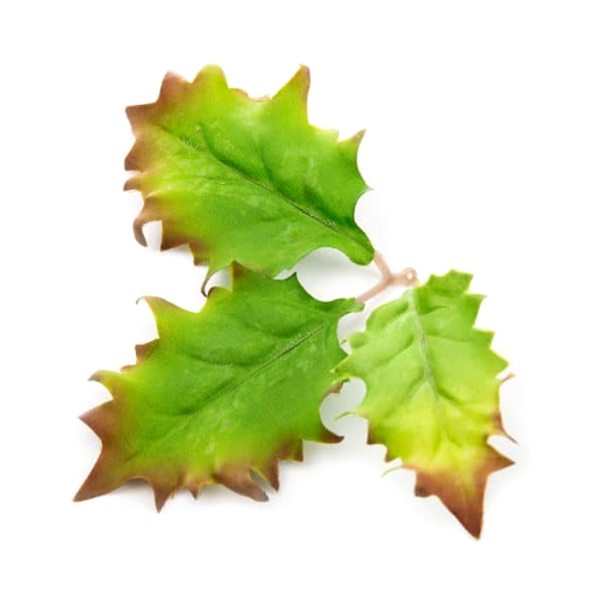 Novritsch Leaf Camo – LC5