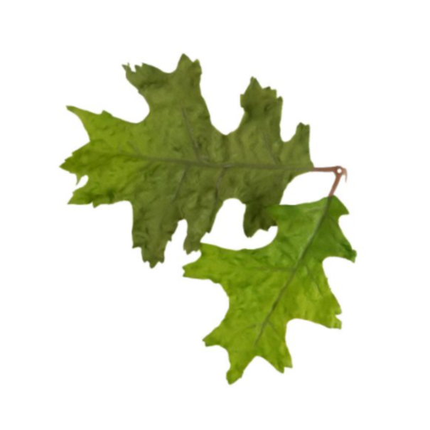 Novritsch Leaf Camo – LC4