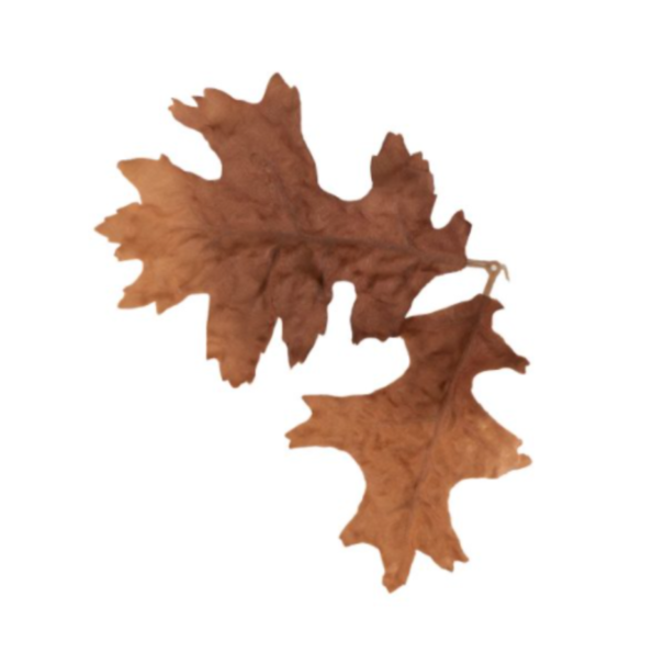 Novritsch Leaf Camo – LC4