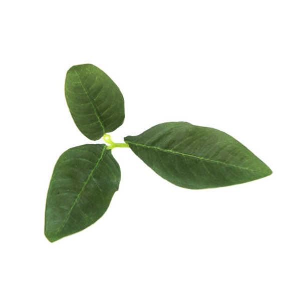 Novritsch Leaf Camo – LC3