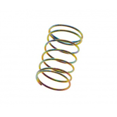 AAP-01 Nozzle Valve Spring