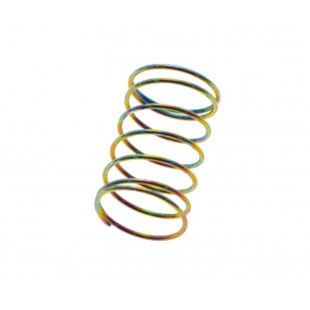 AAP-01 Nozzle Valve Spring