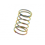 AAP-01 Nozzle Valve Spring