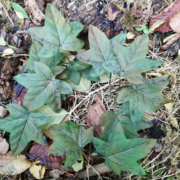 Unique Crafting Leaves Greens