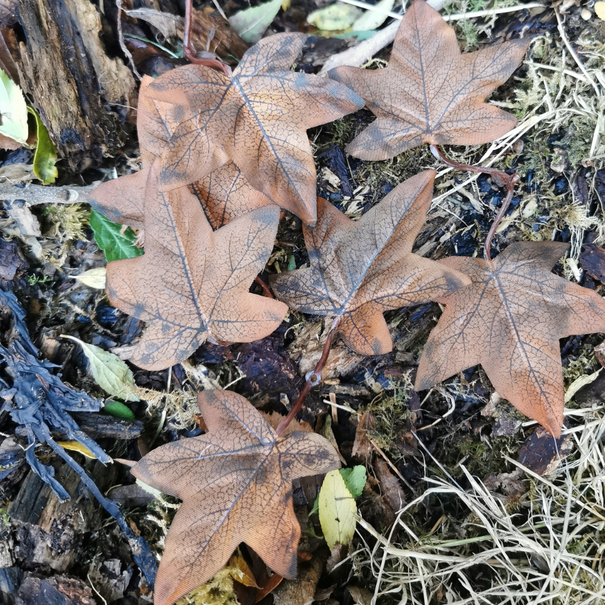 Unique Crafting Leaves Browns