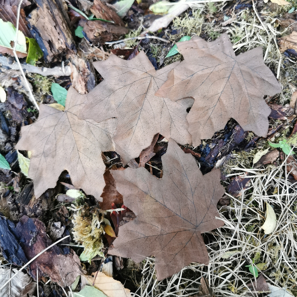 Unique Crafting Leaves Browns