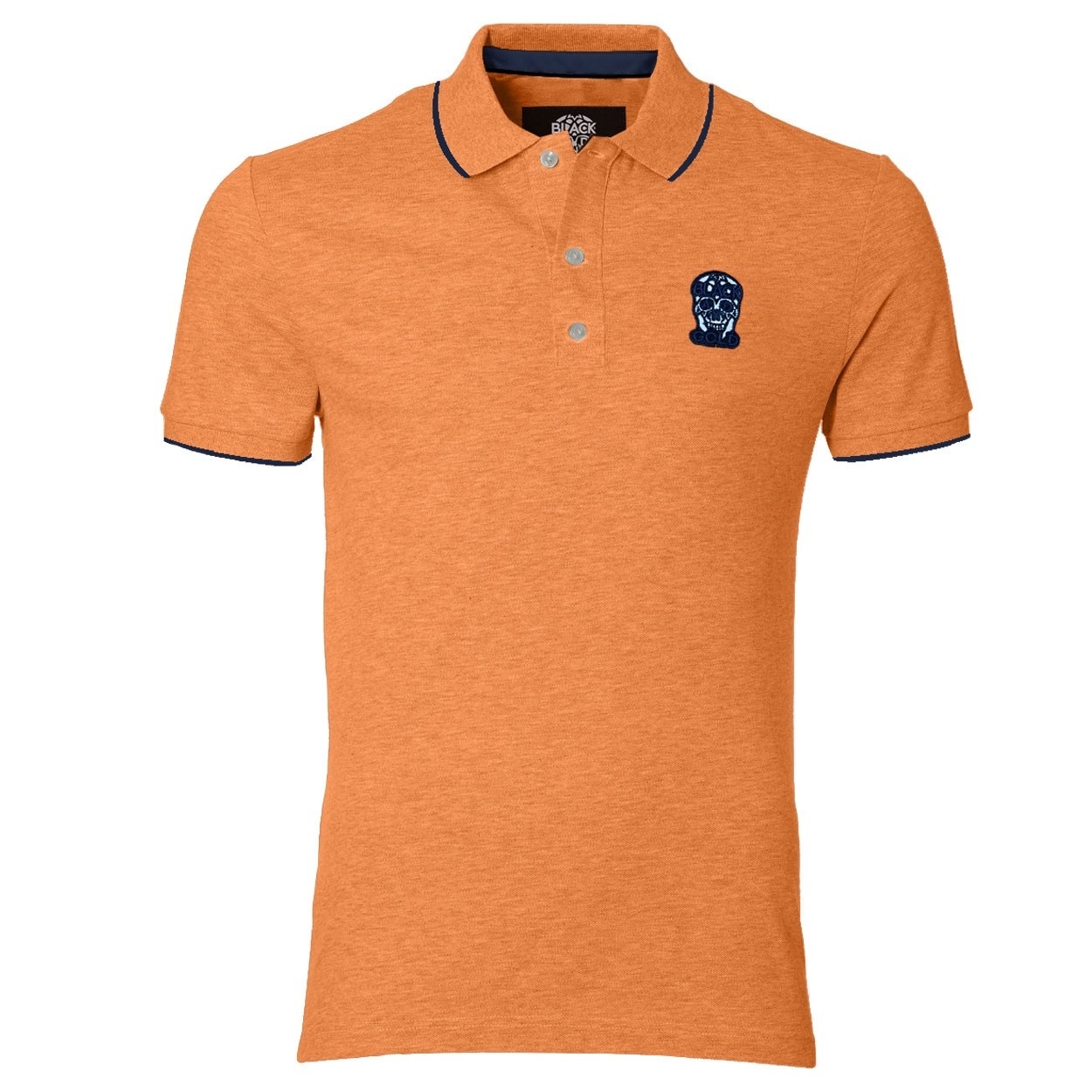 Polo-1
