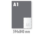 Posters Blueback A1 Fullcolor (594x840mm)