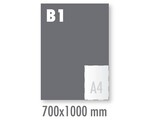 Posters Standaard B1 Fullcolor (700x1000mm)