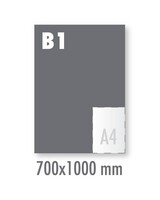 Posters Glossy B1 Fullcolor 135 grams glanzend (700x1000mm)