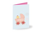 Geboortekaartjes