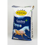 Havens Havens Gastro + 20 kg