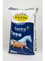 Havens Havens Gastro + 20 kg
