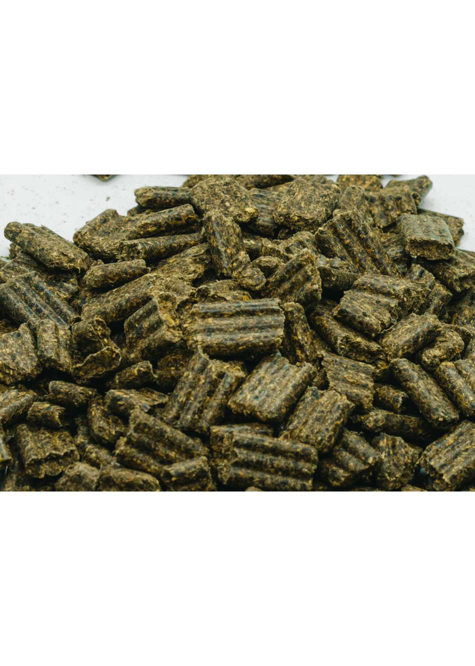 Pavo FibreBeet 15 kg – vezelrijke mash voor darmgezondheid en gecontroleerde energie