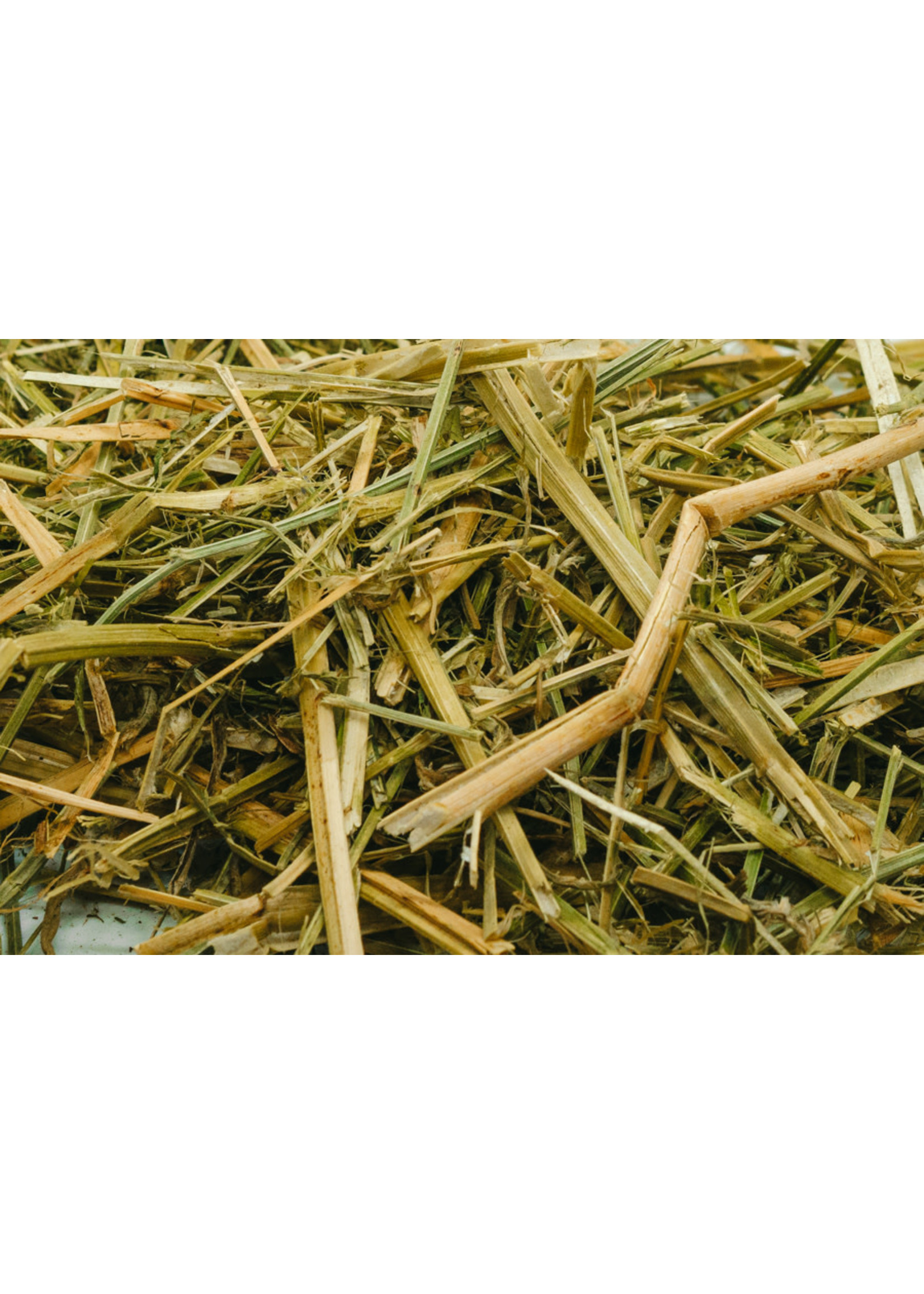 Sun-Dried Lucerne 10 kg | For extra fibre and chewing activity