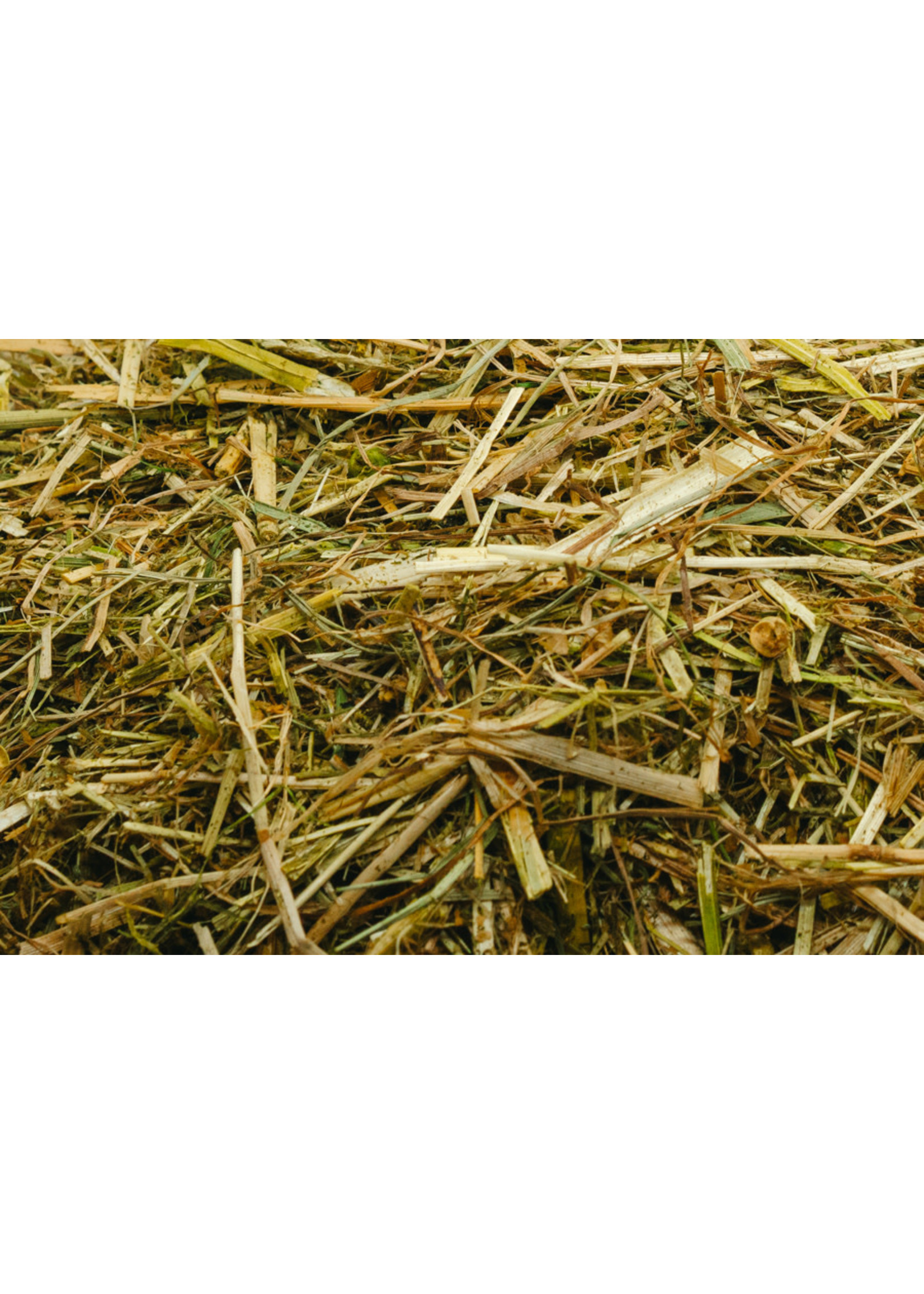 Florian Florian Basic Pure 14 kg | Fibre-Rich Forage Supplement for a Natural Diet