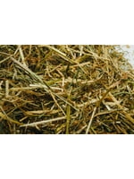 Florian Florian Basic Growth 15kg