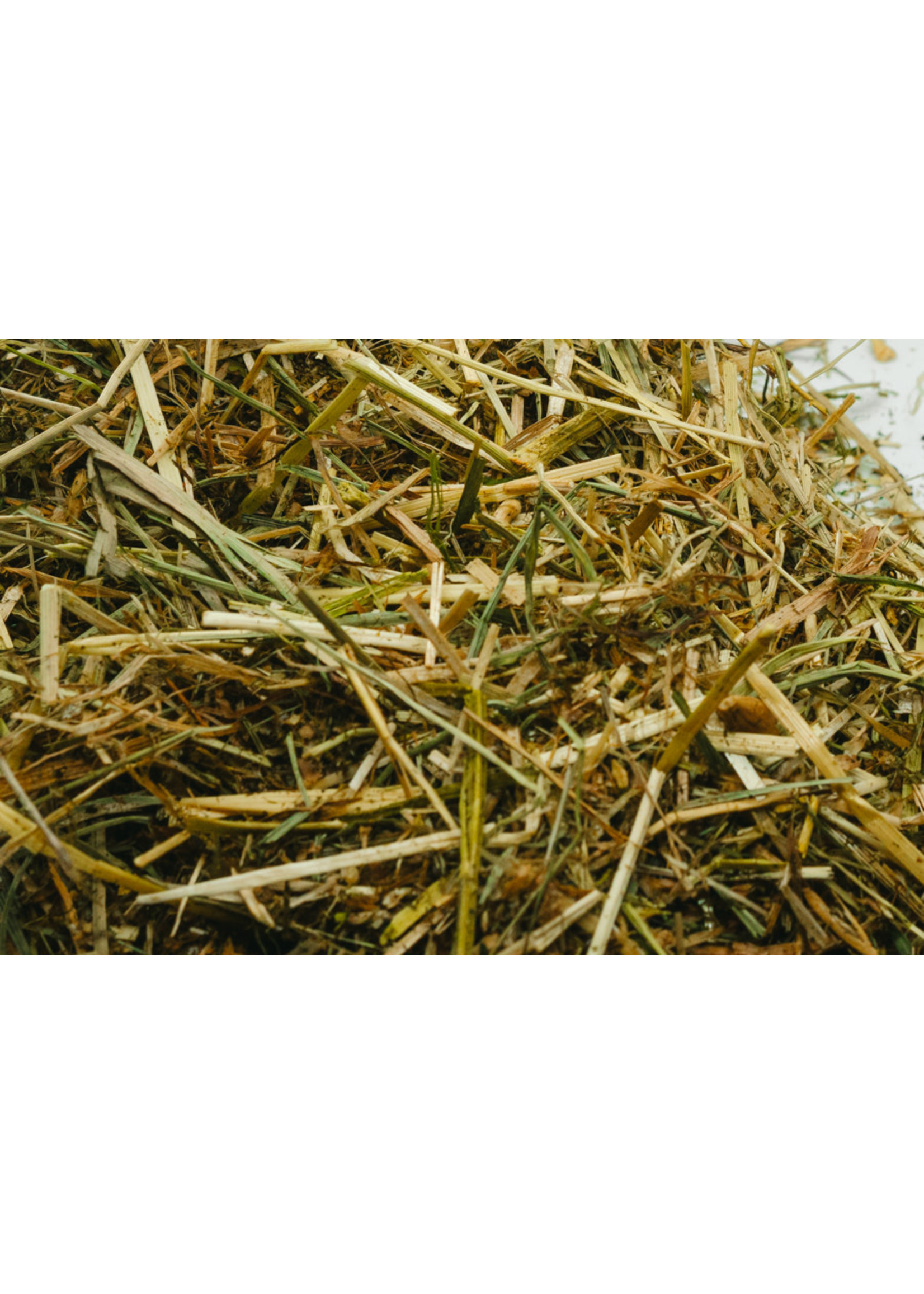 Florian Florian Basic Growth 15 kg | Complément Fibreux pour la Croissance et le Développement