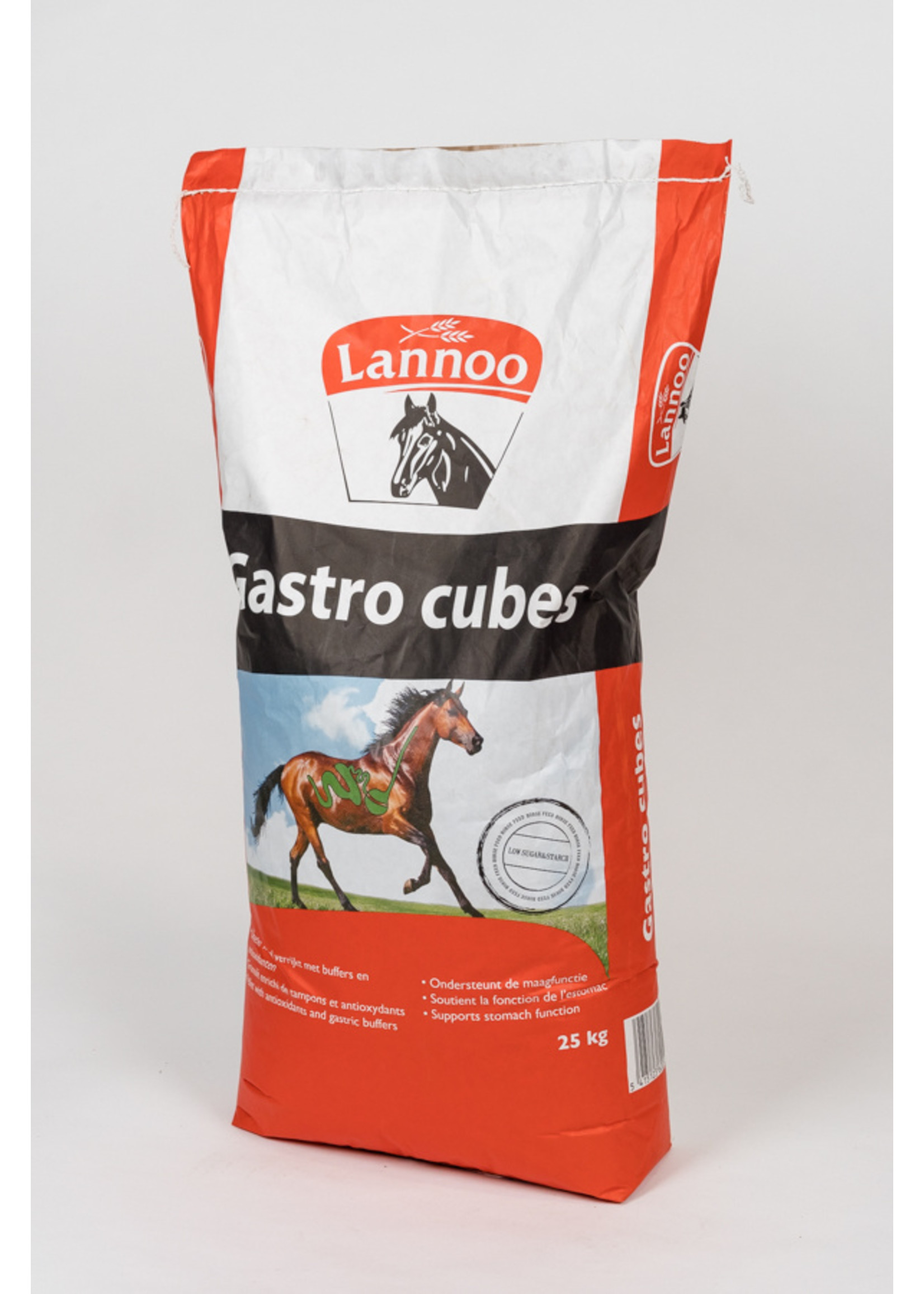 Lannoo Lannoo Gastro Cubes 25kg