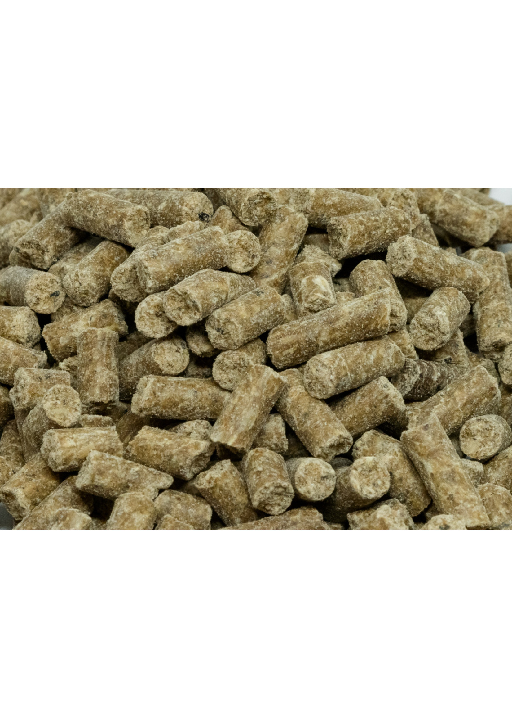 Equilannoo EQL Muscle Plus 15 kg | For muscle development and recovery